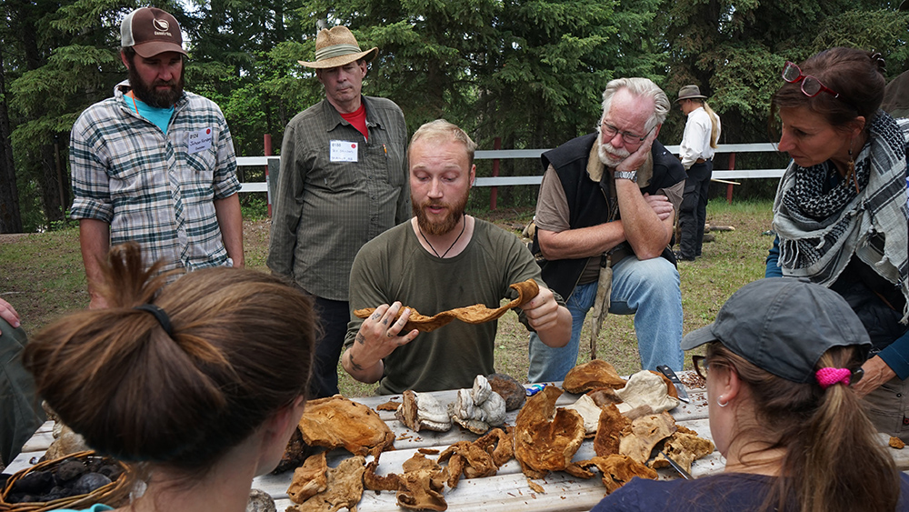 Man showing a group of people slices of Fomes fomentarius